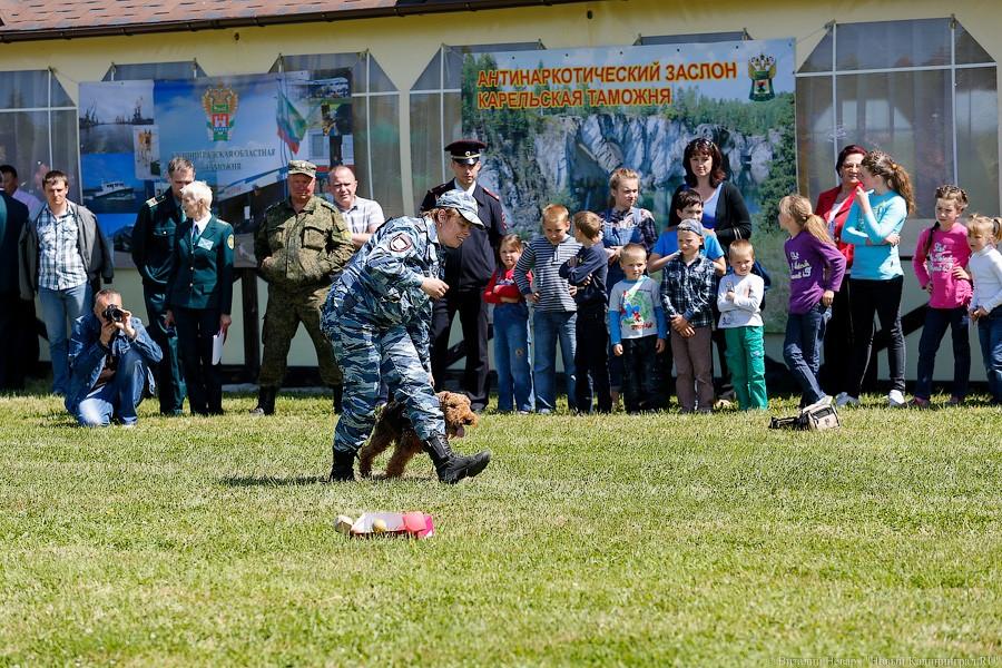 Пёс Барбос и наркокросс: под Калининградом прошли соревнования кинологов