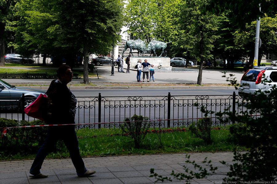 «Водрузить символ энергетики»: зачем перекопали сквер в центре Калининграда