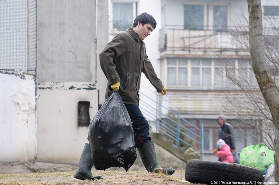 "Чистый лес: 115 на 40": фоторепортаж "Нового Калининграда.Ru" 