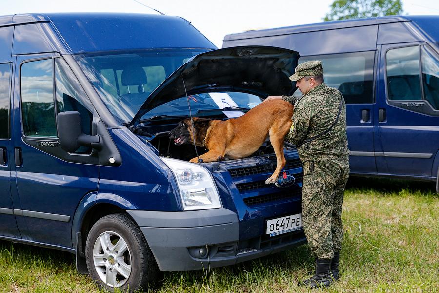 Пёс Барбос и наркокросс: под Калининградом прошли соревнования кинологов