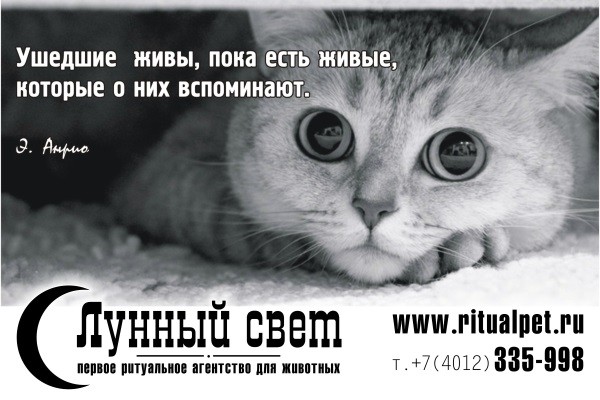 Как осваиваются региональные субсидии