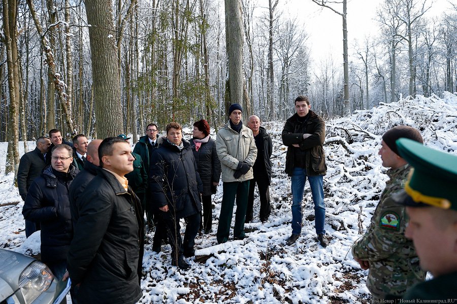 «Дача Геринга» и виштынецкий мораторий: как Алиханов осваивал восток области