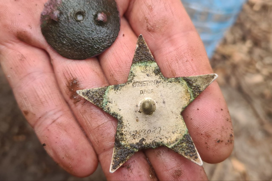 Рухнул на немецкие позиции: под Калининградом обнаружены обломки Ил-2 и останки летчиков (фото)