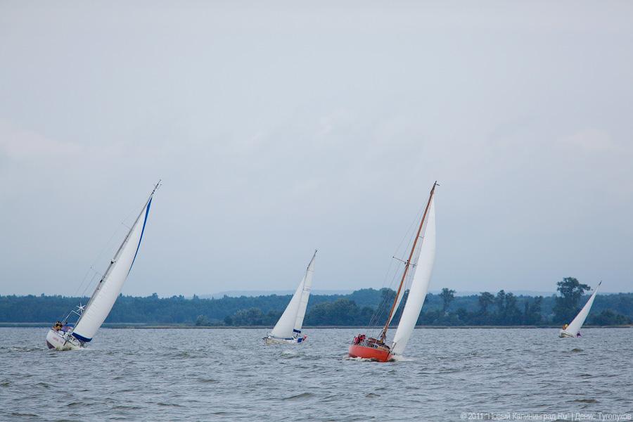 "Гонки под парусами": фоторепортаж "Афиши Нового Калининграда.Ru"