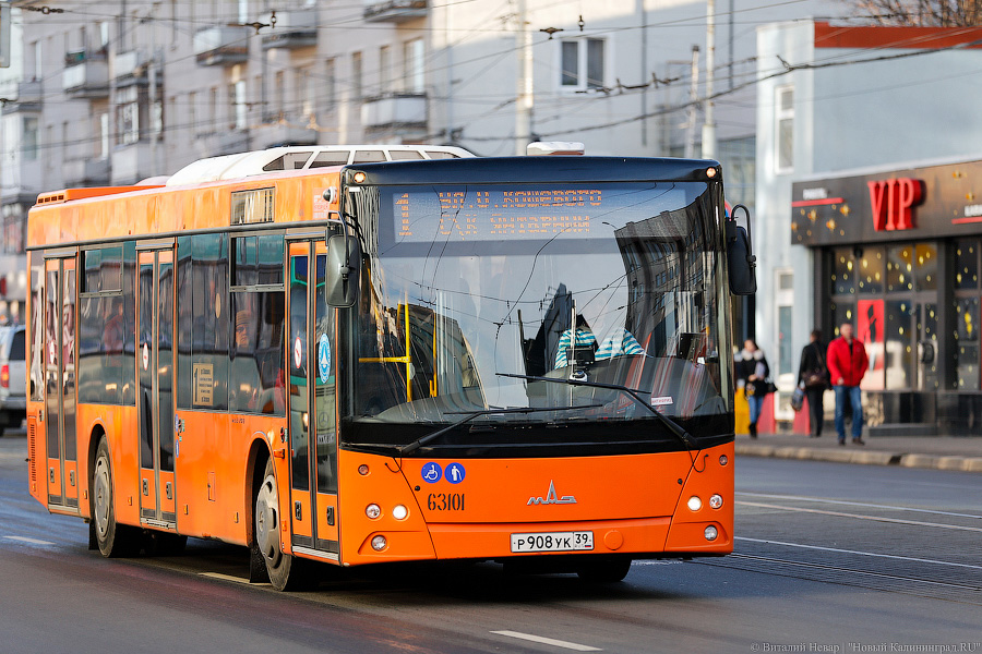 «Как получается, так и едем»: 10 вопросов к муниципальному «ГорТрансу»