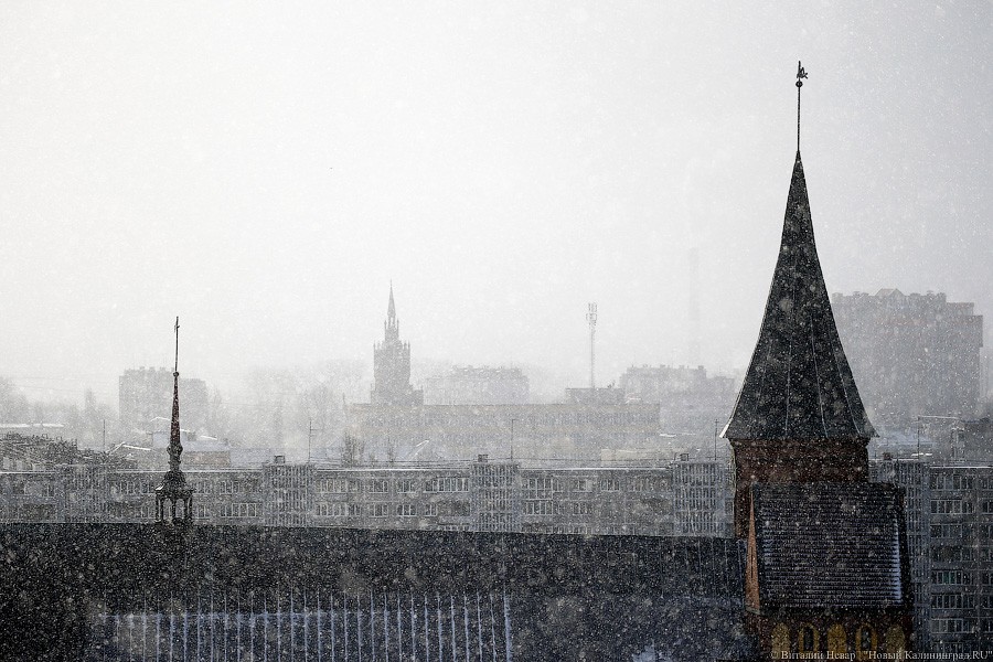 5 февраля: В Калининграде во второй раз за зиму выпал снег