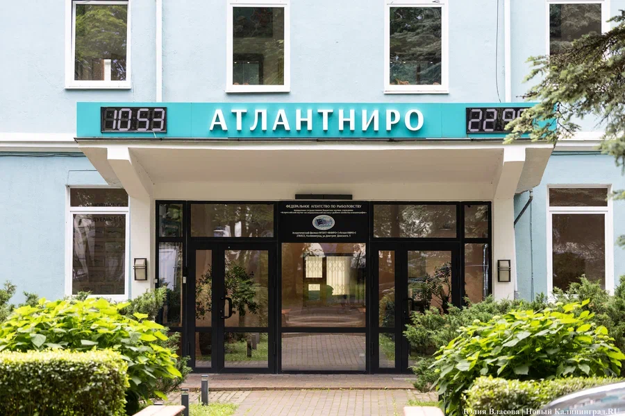 «АтлантНИРО» ищет подрядчика для обеспечения защиты судов от актов незаконного вмешательства