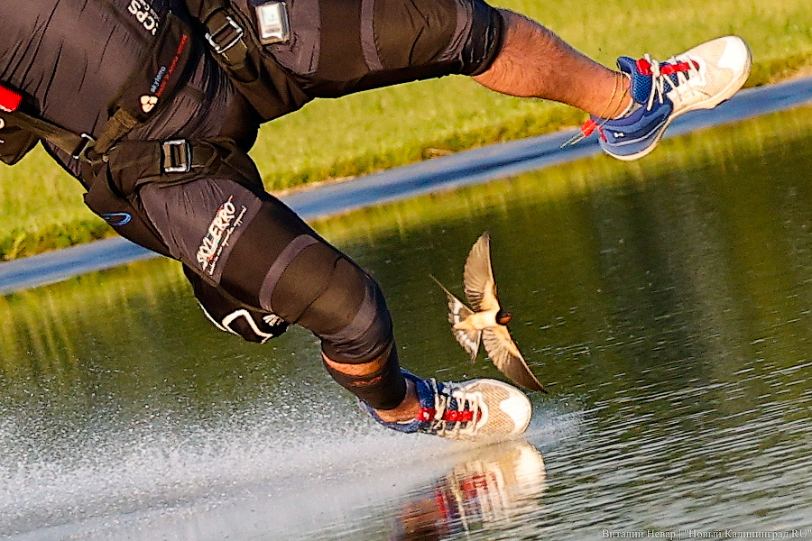 Люди как птицы: под Калининградом прошел этап Кубка России по купольному пилотированию (фото)