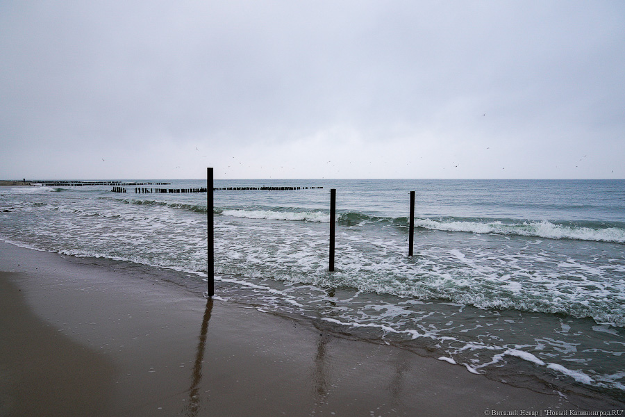 Серферы против гребенок: в Зеленоградске начали установку 40-тонных волноломов (фото)