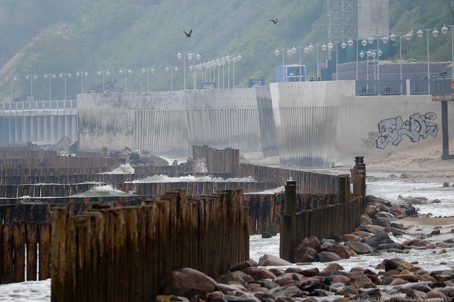 Много лиственницы и чуть песка: как выглядит светлогорский «пляж»  
