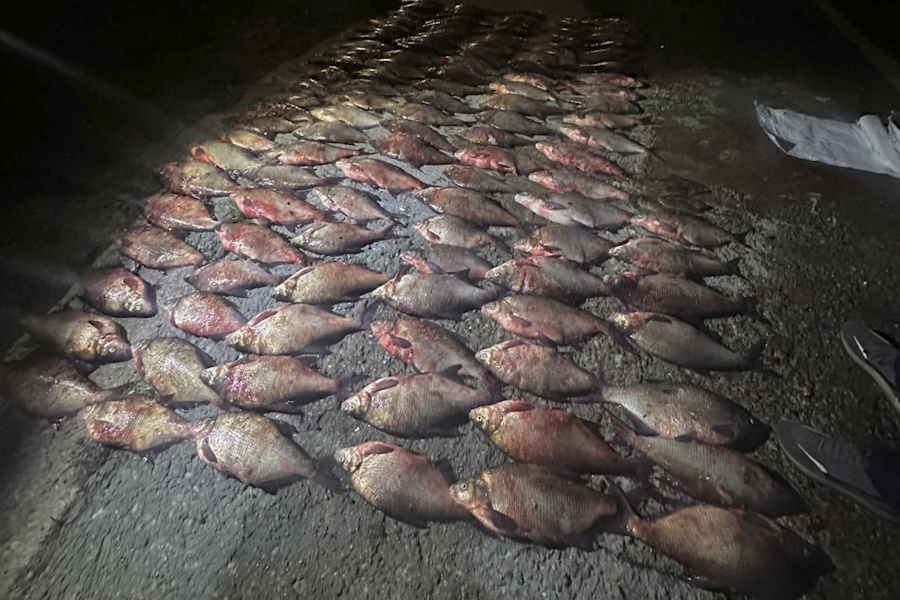 Полиция возбудила уголовное дело против рыбака, ловившего сетями камбалу и леща