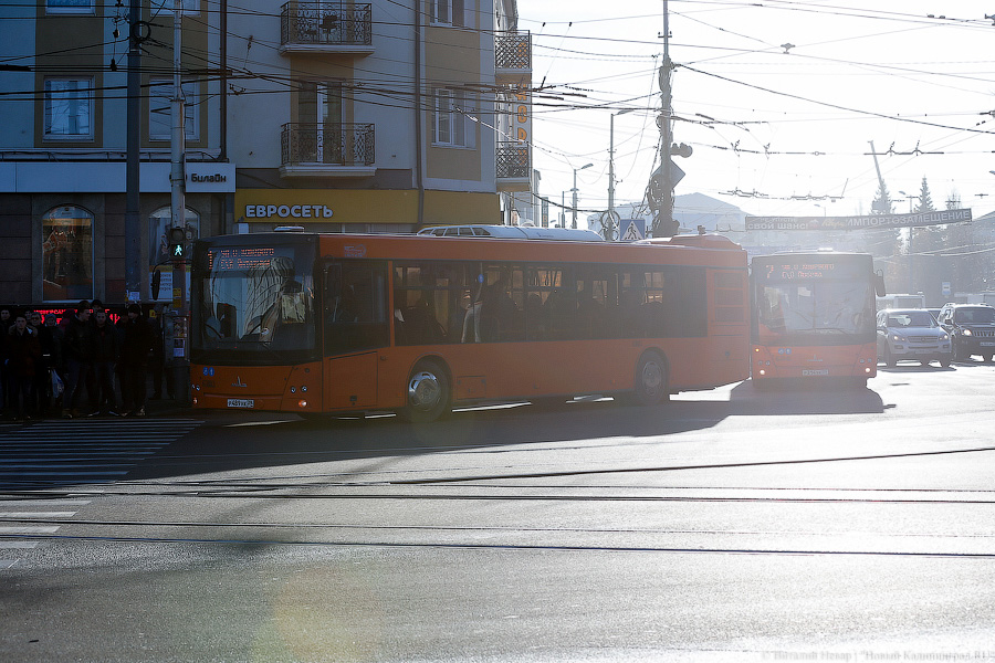 «Как получается, так и едем»: 10 вопросов к муниципальному «ГорТрансу»