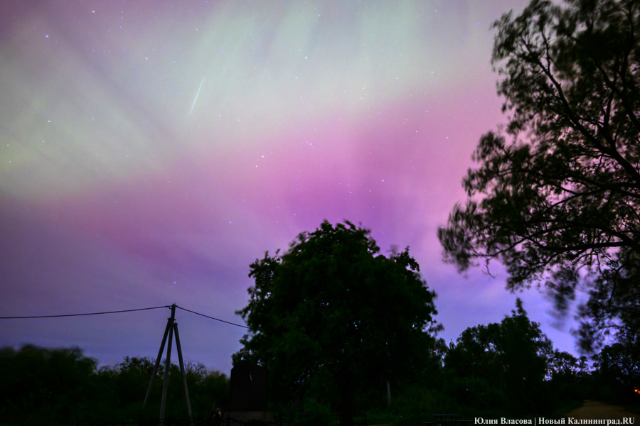 Дар Солнца: северное сияние над Калининградской областью (фото)
