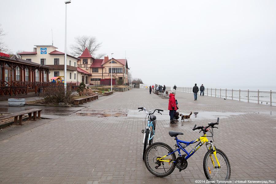 «Жим сидя, коты и обломки»: променад в Зеленоградске в туристическое межсезонье