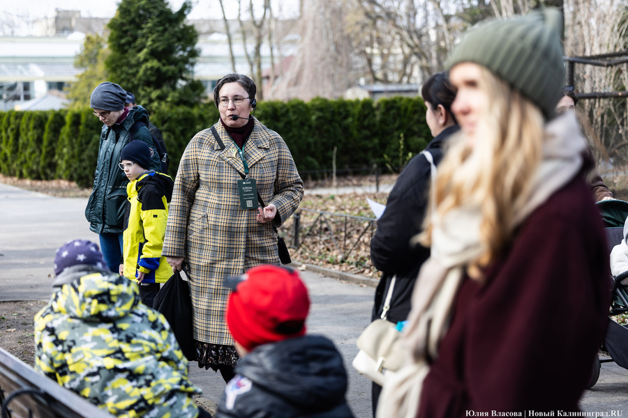 И пух, и перья: как в Калининградском зоопарке отметили День птиц (фото)