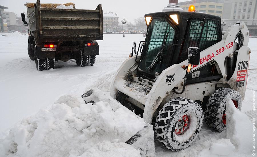 "Нападение белых мух": фоторепортаж "Нового Калининграда.Ru"