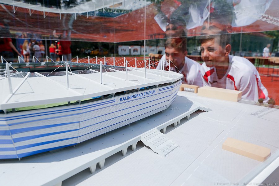 Под шоу барабанщиц: в Калининграде стартовал набор волонтеров для ЧМ-2018