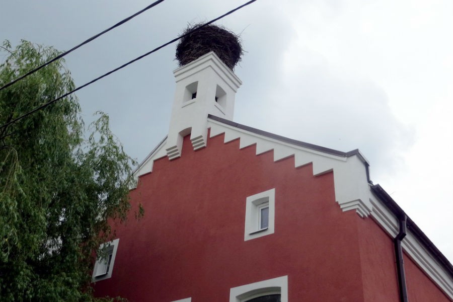 Зданию больницы Мамоново рекомендован статус памятника, несмотря на варварский ремонт (фото)