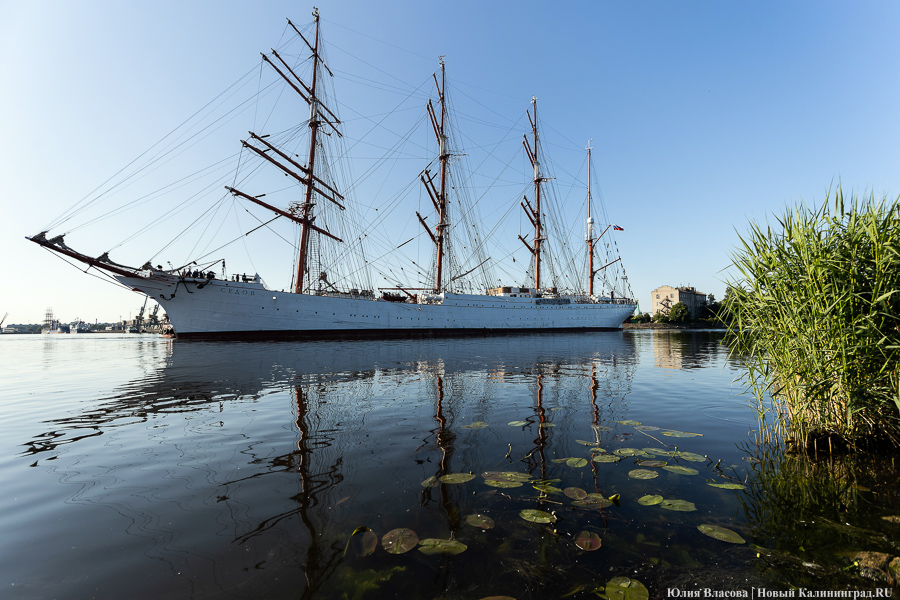 «Седов» заходит в морской канал. Посмотрите, как это красиво (фото)