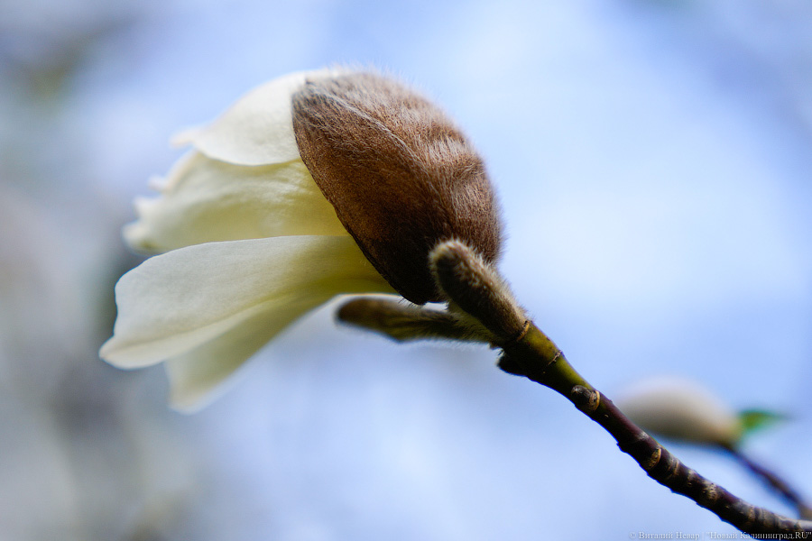 Рабочие нерабочие, штраф за высадку детей и налоговые вычеты: нововведения мая