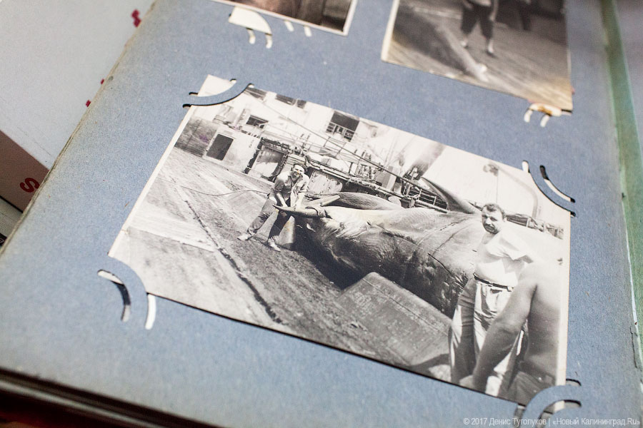 Дом китобоя: как будет устроен калининградский музей советского быта