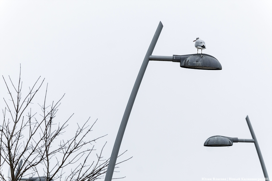 Провал за провалом: что стало с набережной Трибуца за семь лет эксплуатации (фото)