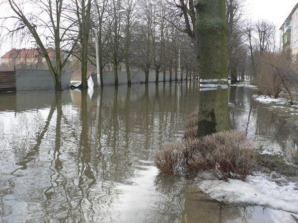 "Большая вода": фоторепортаж читателей "Нового Калининграда.Ru"