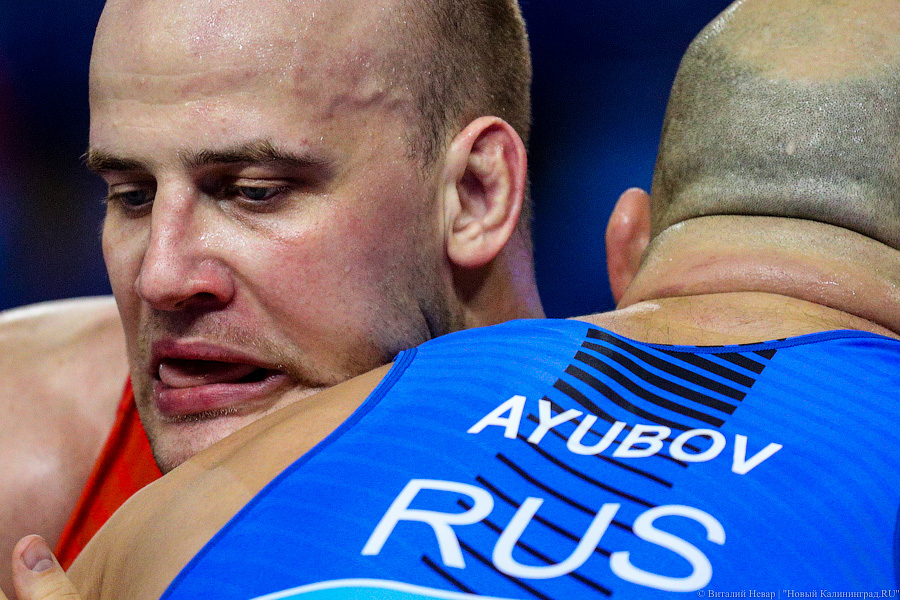 Просто мощь: чемпионат России по греко-римской борьбе идет в Калининграде (фото)