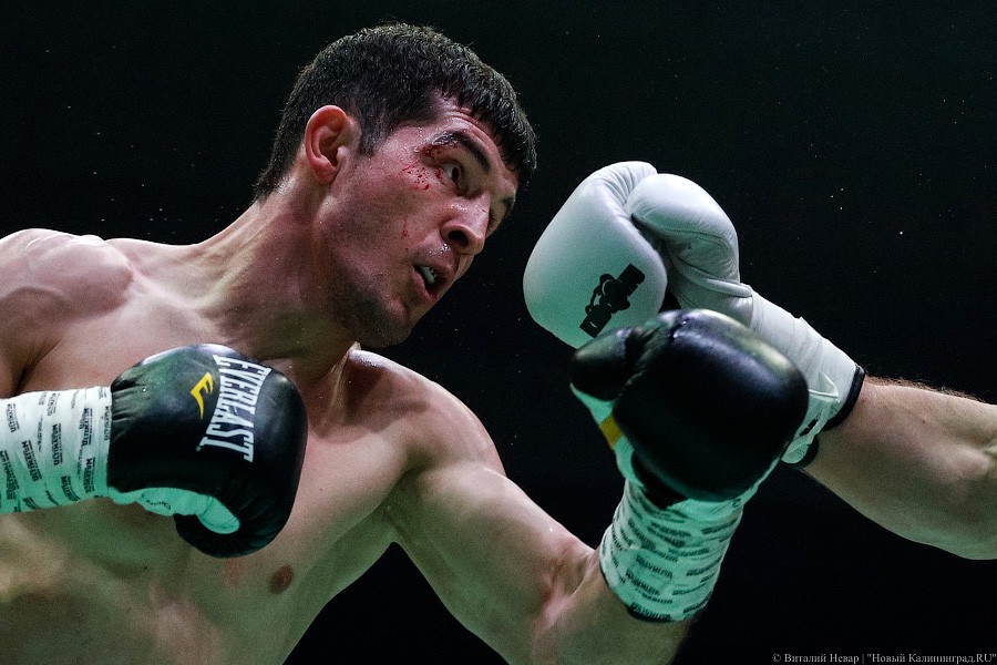 Раздельным решением судей: Чухаджян взял титул WBA International в Калининграде