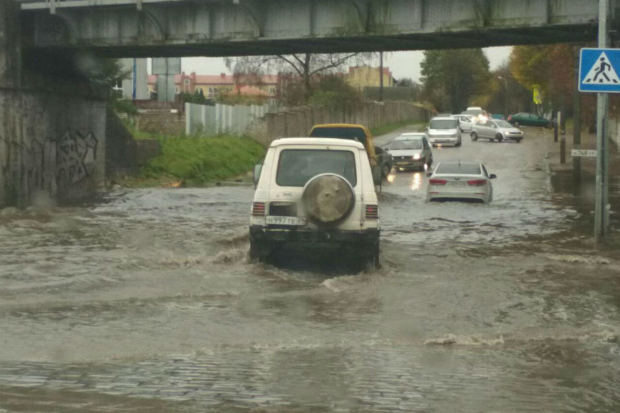 В Калининграде из берегов вышли река Лесная и ручей Воздушный
