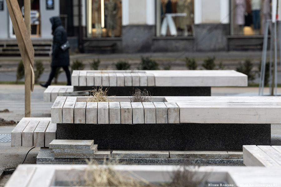 В трех соснах: как выглядит благоустроенная территория у стадиона «Балтика» (фото)