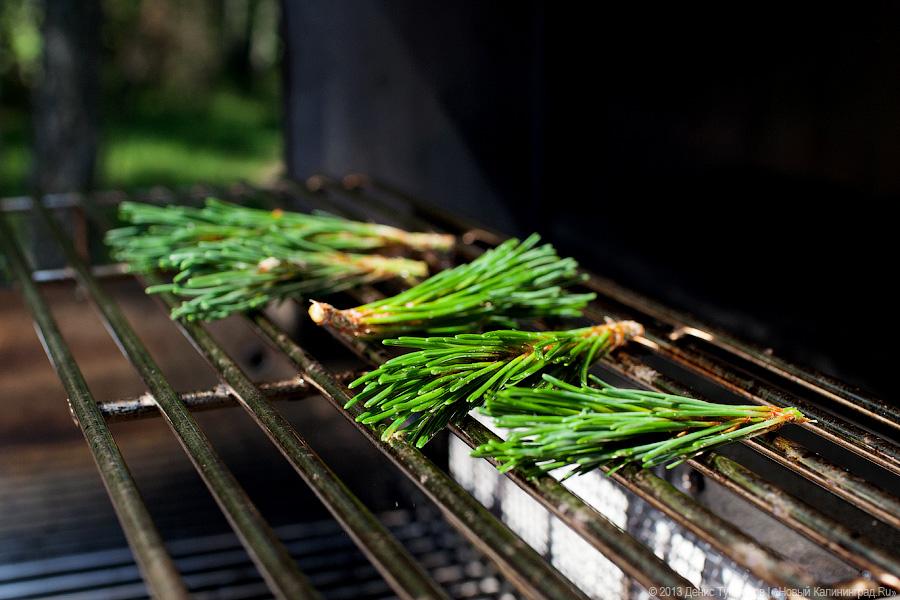 Вы ели жареных ворон?: кафе «Курена» на Куршской косе