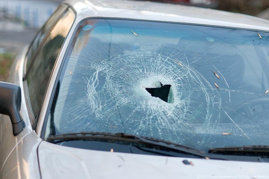 «А поутру они проснулись»: фоторепортаж «Нового Калининграда.Ru»