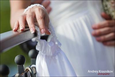 В регионе стало больше свадеб и меньше разводов