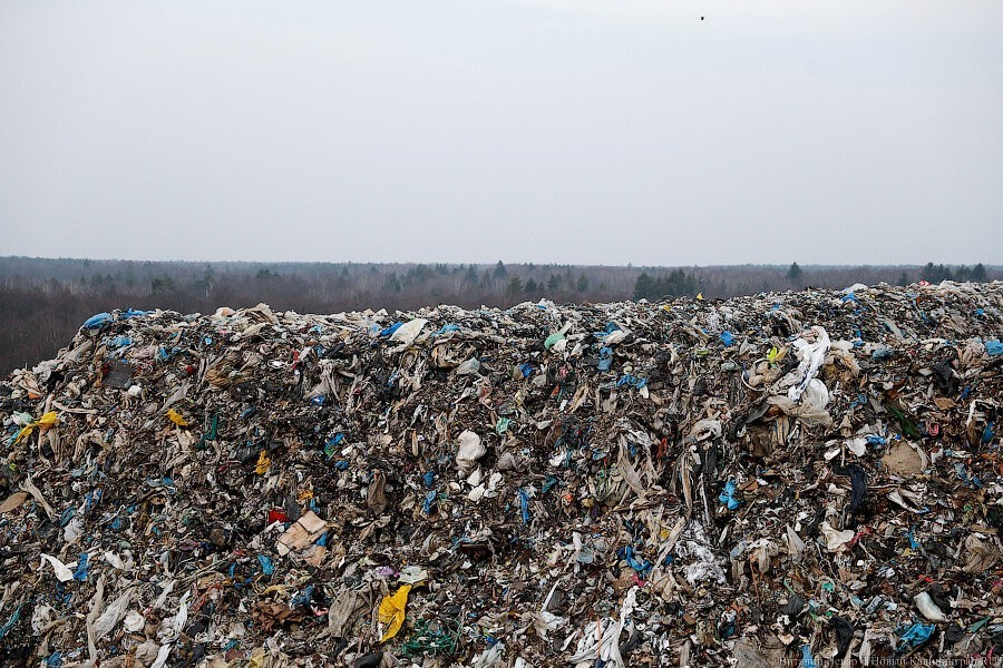 Алиханов обещал снижение тарифов за мусор. Его подчиненные ожидают рост