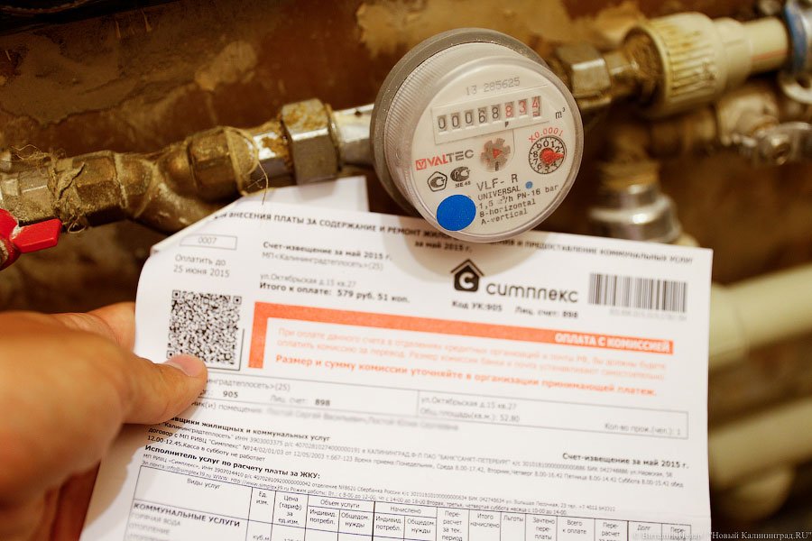 Фото — Виталий Невар, «Новый Калининград.Ru»