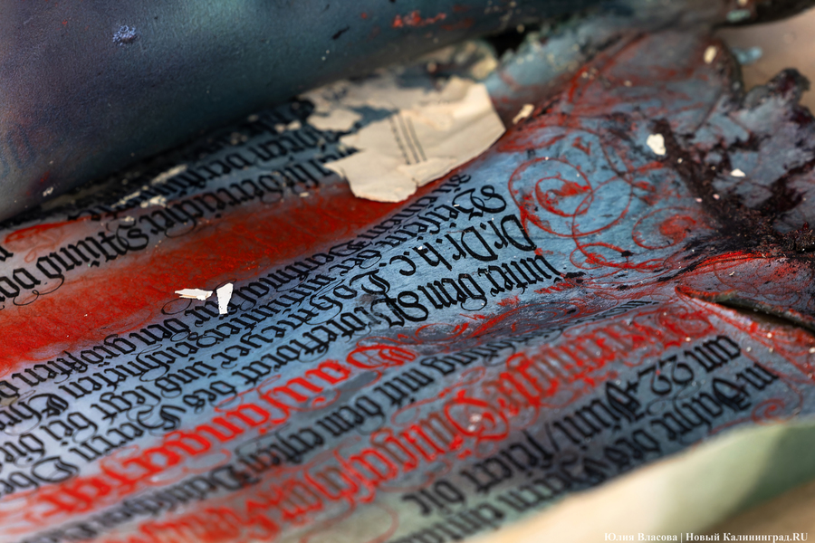 Эхо прошлого: в Калининградском зоопарке извлекли 94-летнюю «капсулу времени» (фото)