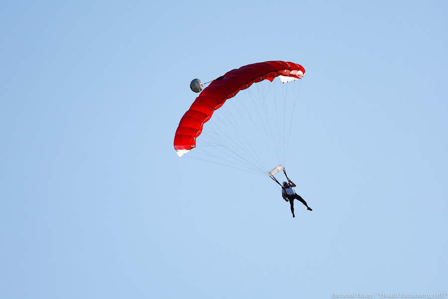 Люди как птицы: под Калининградом прошел этап Кубка России по купольному пилотированию (фото)