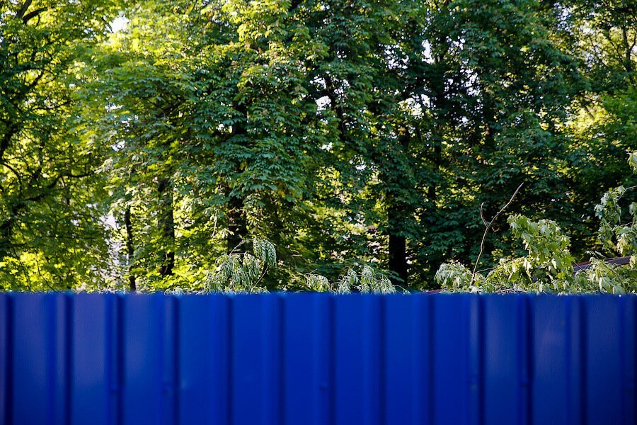 Жители Калининграда стали чаще жаловаться на заборы