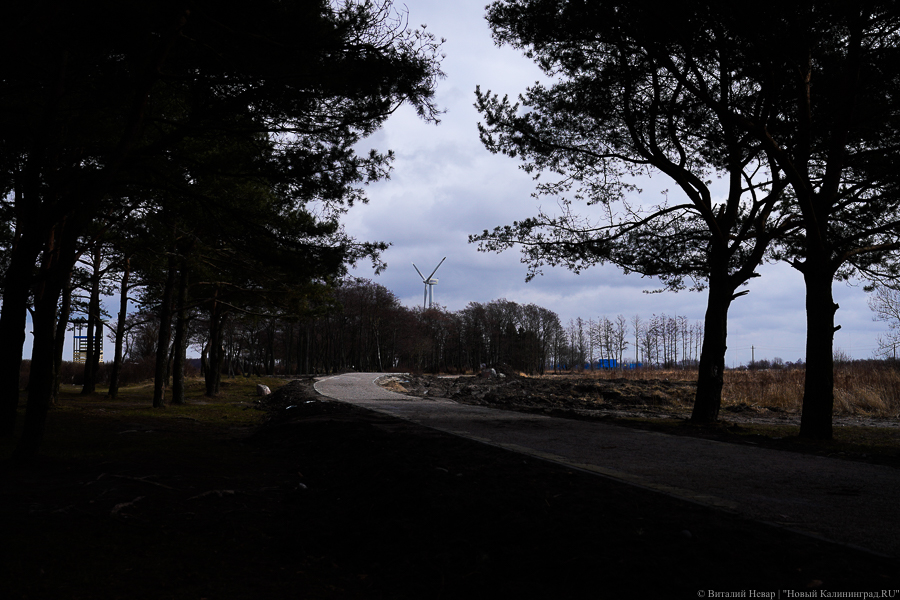 Строящаяся за сотни миллионов велодорожка вдоль моря подорожала