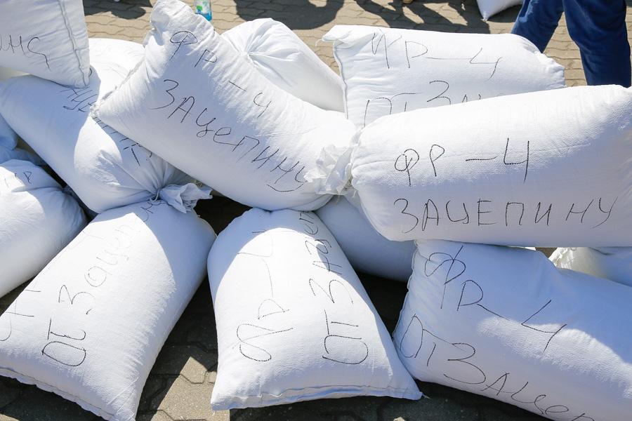 Между ямой и Китаем: как «янтарщики» на площади Василевского митинговали