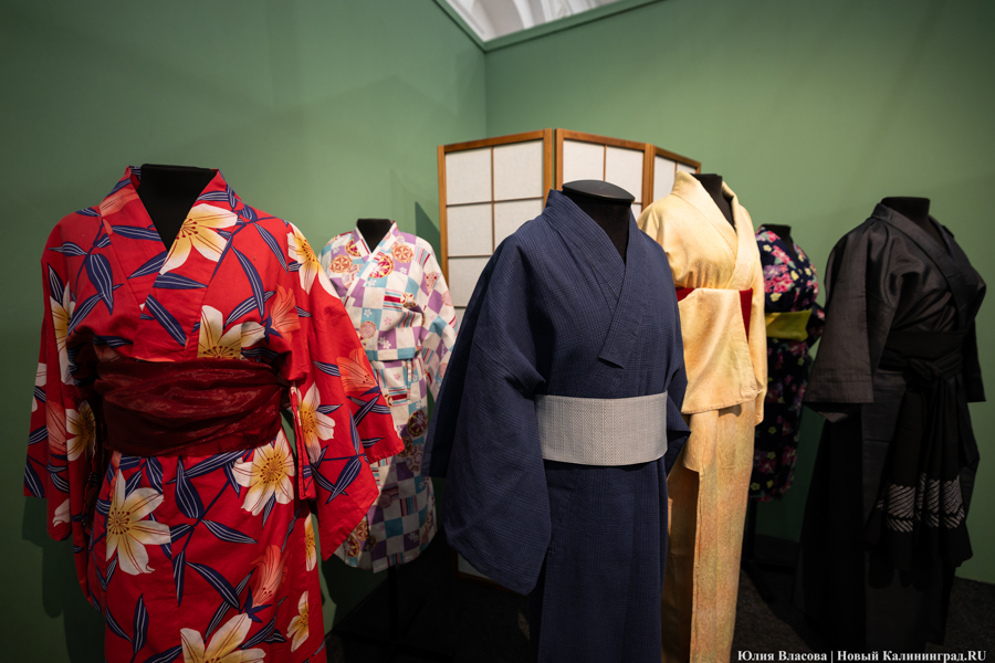 Япония рядом: в Музее изобразительных искусств открылись Дни Эрмитажа (фото)