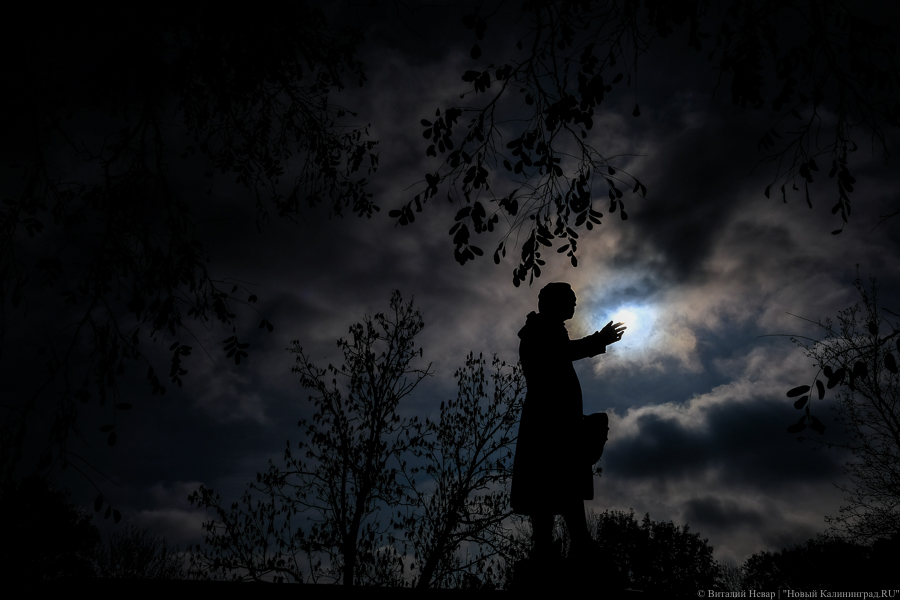 Фото: Виталий Невар / Новый Калининград