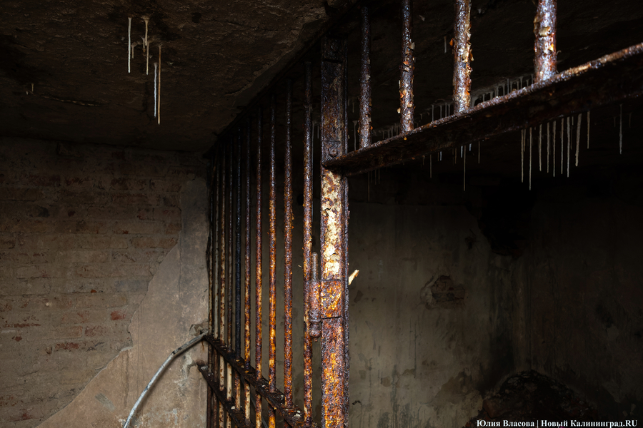 Настоящие подземелья Кёнигсберга: что находится в открывшемся провале на острове Канта (фото)