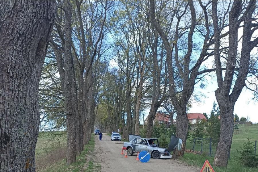 В Нестеровском районе «БМВ» врезался в дерево (фото)