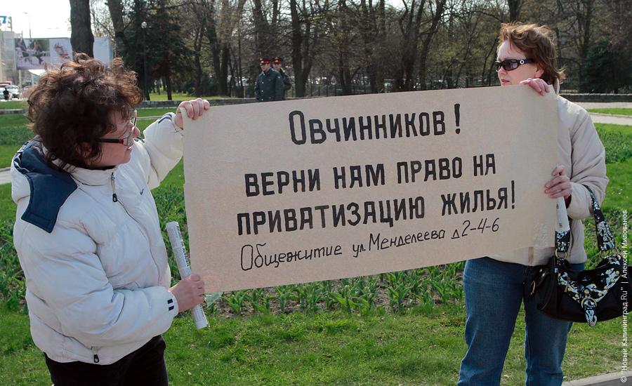 "Педозастройщики и пни во власти": фоторепортаж "Нового Калининграда.Ru"