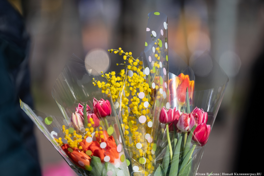 Цветочные баррикады: как выглядят улицы Калининграда 8 марта (фото)