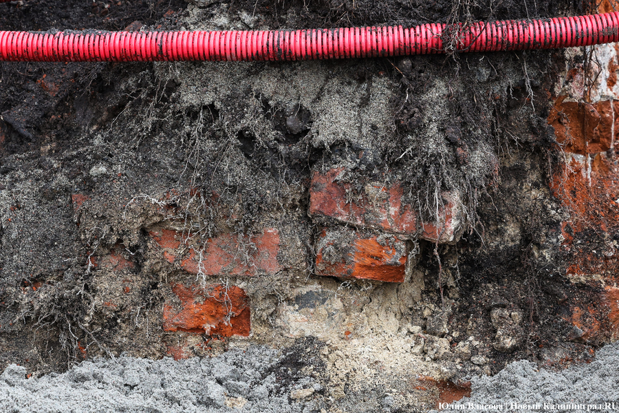 Руины Кнайпхофа: как проходит подготовка к благоустройству острова Канта (фото)