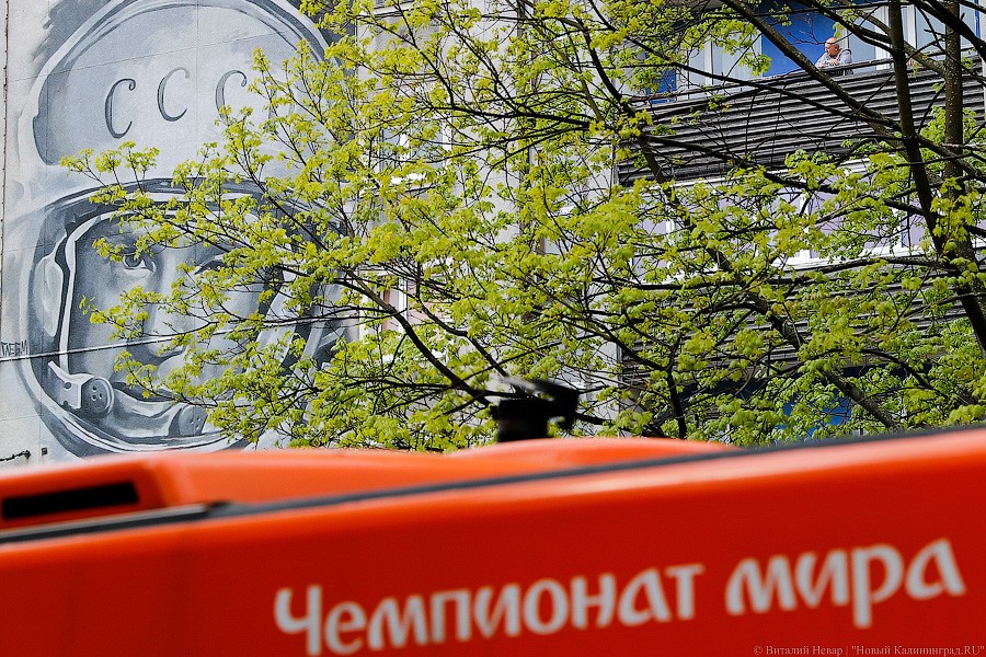 Не граффити, а стрит-арт: в Калининграде нарисовали портрет космонавта Леонова