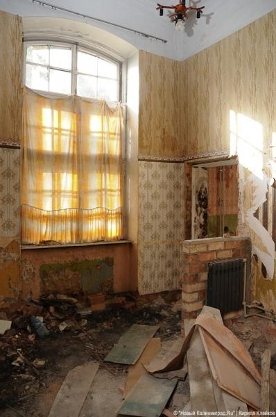 "Инфекционные горизонты": репортаж "Нового Калининграда.Ru"